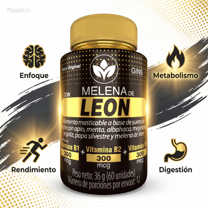 Melena de León GINS